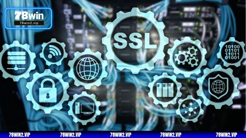 Hệ thống cá cược an toàn với công nghệ mã hóa SSL hiện đại